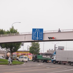 P7233049