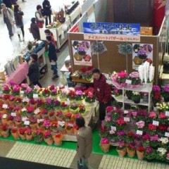 仙台ﾛｰｽﾞｶﾞｰﾃﾞﾝ