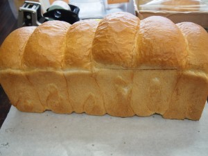 山パン