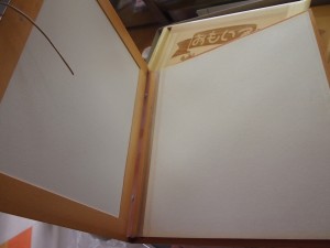 P5281869