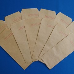 P5291921