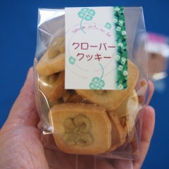 P6042052-800×600