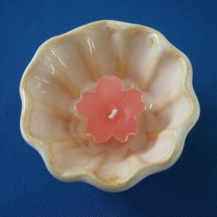 P6072516