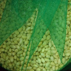 P6170068