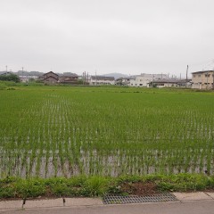 P6170143
