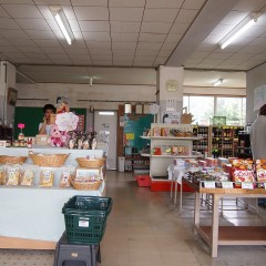 P6200445