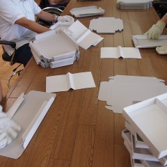 P6240645