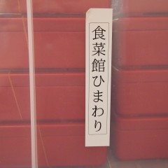 P6133398