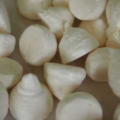 P7091555