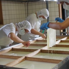 P7101620