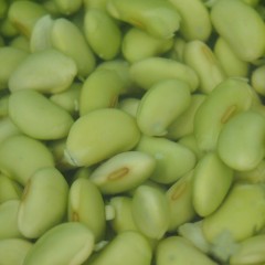 P7101720