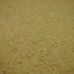 P7101722