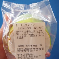 P7222863