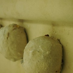 P8223740