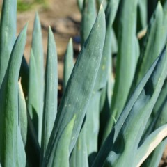 0220-520×345