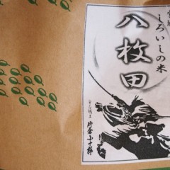 PC022666-800×600