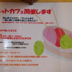 005