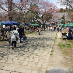 2014-04-08-12-17-41_photo