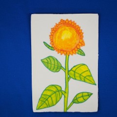 P7020016
