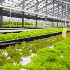 P9030013
