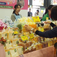 写真①