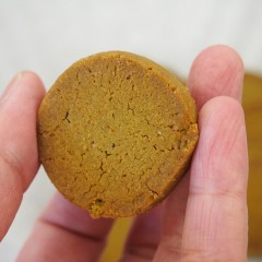 P1010010