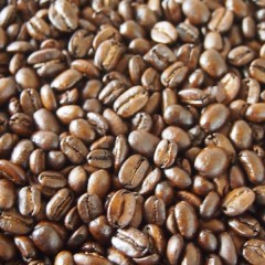 P41004481-800×600