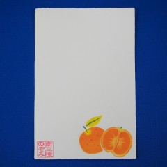 P1010004