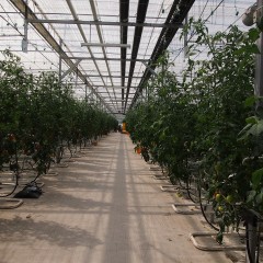 P5090081