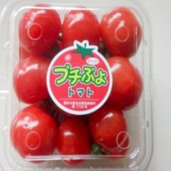 nogiku_puchipoyo_tomato
