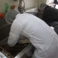 ぱれったけやき宮城野_べんりだ菜②