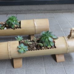 ジェムストーン_竹の花鉢2