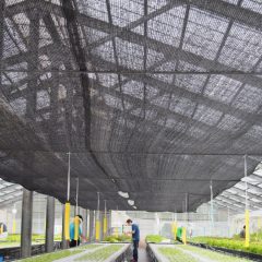 P9030066