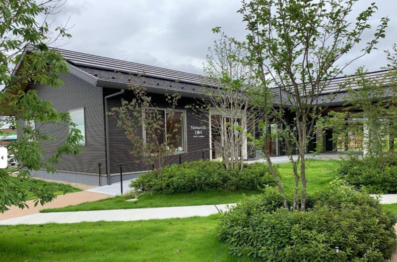 オリーブの樹 オリーブの小路|photo1